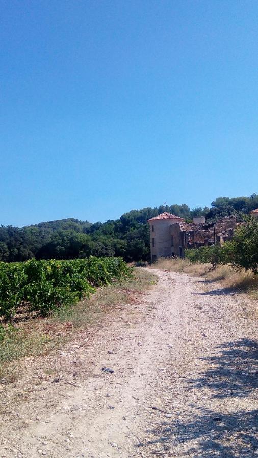 Les Cigales Bed & Breakfast Villelaure Luaran gambar